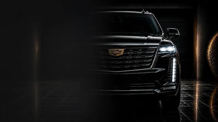 What to Look for in a Car Transportation Company